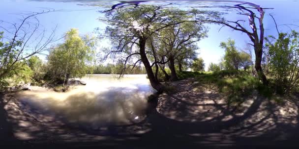 UHD 4K 360 VR Realidade Virtual de um rio flui sobre rochas em bela paisagem de floresta de montanha — Vídeo de Stock