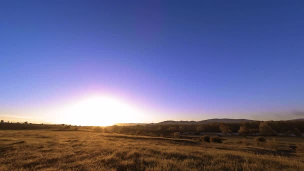 4K UHD montanha prado timelapse no verão. Nuvens, árvores, grama verde e movimento de raios solares. — Vídeo de Stock