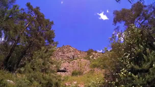 4K UHD Berg Zeitraffer im Sommer. Wolken grüne Bäume und Sonnenstrahlen Bewegung. — Stockvideo