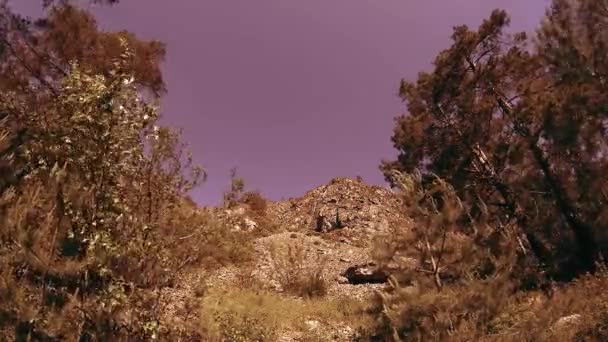 夏に4K UHD山のタイムラプス。雲緑の木と太陽光線の動き. — ストック動画