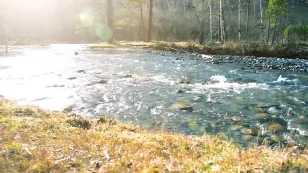 森の近くの山の川で水しぶきのドリースライダーショット。ぬれた岩や太陽の光線。水平安定運動. — ストック動画