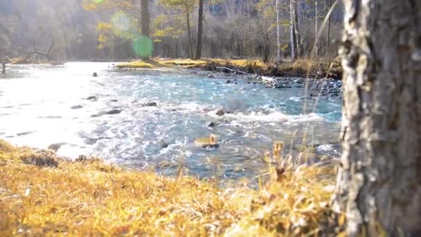 森の近くの山の川で水しぶきのドリースライダーショット。ぬれた岩や太陽の光線。水平安定運動. — ストック動画