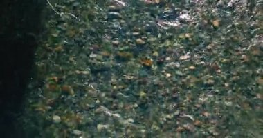 Güneşli yaz sabahında temiz ve taze bir dağ nehri üzerinde uçuşun ortasındayız. Üst görünüm ve yatay hareket