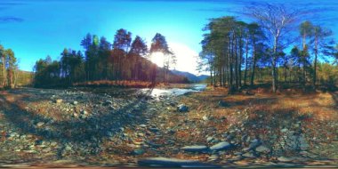 Vahşi dağların, çam ormanlarının ve nehir akışlarının 360 VR sanal gerçekliği. Ulusal park, çayır ve güneş ışınları.