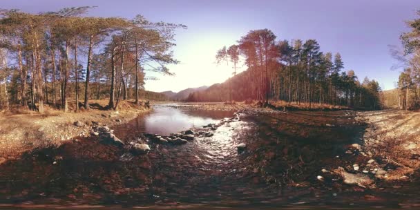 360 VR virtual reality van een wilde bergen, dennenbos en rivierstromen. Nationaal park, weide en zonnestralen. — Stockvideo