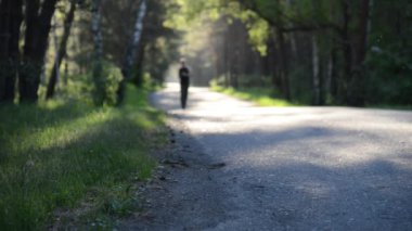 Asfalt yolda koşan sporcu. Kırsal şehir parkı. Yeşil ağaç ormanı ve ufukta güneş ışığı.