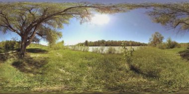 UHD 4K 360 VR Bir nehrin Sanal Gerçekliği güzel dağ ormanlarında kayaların üzerinden akıyor