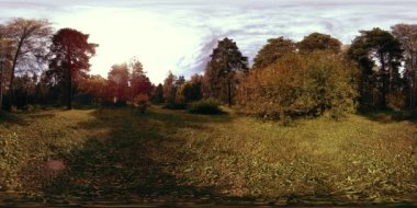 Bir şehir parkının UHD 4K 360 VR Sanal Gerçekliği. Sonbaharda ya da yaz gününde ağaçlar ve yeşil çimenler. Yol ve güneş ışınları. Özgün ses.