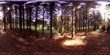 Bir şehir parkının UHD 4K 360 VR Sanal Gerçekliği. Sonbaharda ya da yaz gününde ağaçlar ve yeşil çimenler