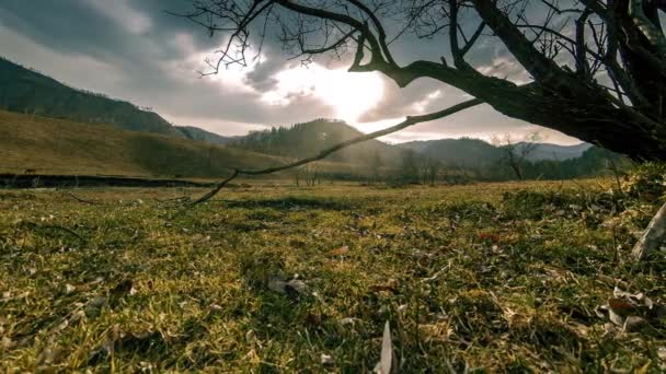 Time lapse of death tree and dry yellow grass at mountian landscape with clouds and sun rays. Mouvement horizontal du curseur — Video