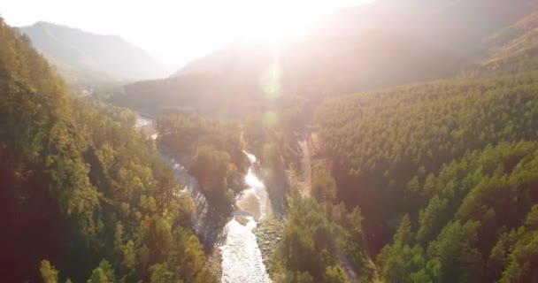 Volo a mezz'aria sul fiume fresco di montagna e prato al mattino d'estate soleggiato. Strada sterrata rurale sotto. — Video Stock