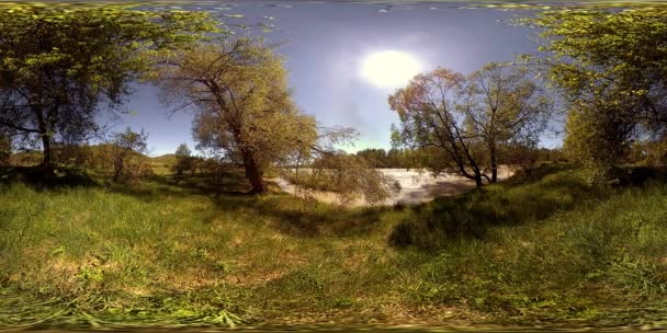 UHD 4K 360 VR La realtà virtuale di un fiume scorre sulle rocce in un bellissimo paesaggio forestale di montagna — Video Stock