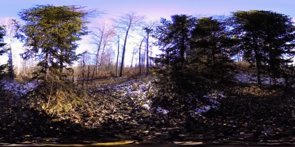 4 k 秋の時間で美しい山の風景の 360 Vr バーチャル ・ リアリティ。野生のロシア山. — ストック動画