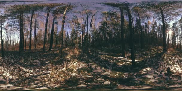 4K 360 VR 가상현실: 가을에 아름다운 산 풍경이 펼쳐진다. 눈덮인 러시아의 야생 산들 — 비디오