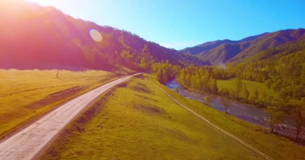 空中Uhd 4Kビュー 真夏の朝 新鮮な山の川と牧草地の上空を飛行します 水平線には緑の木々や太陽の光 下の未舗装道路 — ストック動画