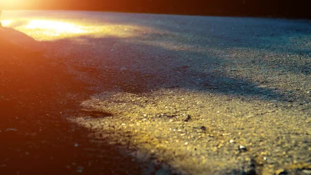 Sportler läuft auf Asphaltstraße. Ländlicher Stadtpark. Grüner Baumwald und Sonnenstrahlen am Horizont. — Stockvideo