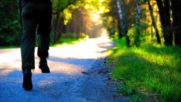 Sportovec běžící na asfaltové cestě. Venkovský městský park. Zelený les a sluneční paprsky na obzoru. — Stock video