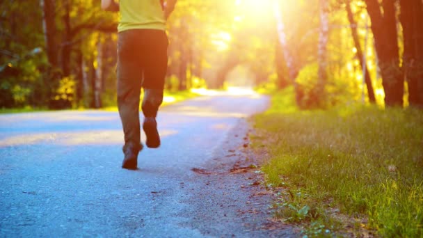 Homme de sport qui court sur la route asphaltée. Parc urbain rural. Forêt d'arbres verts et rayons du soleil à l'horizon. — Video