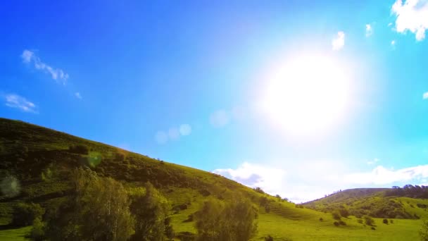 4K UHD山の牧草地は夏にタイムラプスします。雲、木、緑の草、太陽光線の動き. — ストック動画