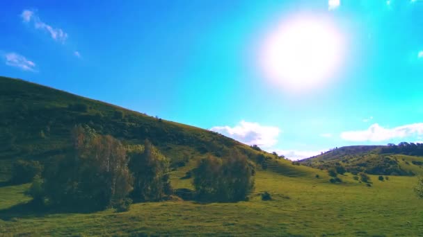 山の牧草地の夏にはタイムラプス。雲、木、緑の草、太陽光線の動き. — ストック動画