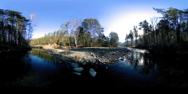 360 VR virtual reality of a wild mountains, pine forest and river flows. National park, meadow and sun rays. — Stock Video