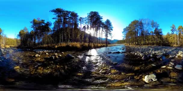 360 VR realidade virtual de uma montanha selvagem, pinhal e fluxos de rio. Parque nacional, prado e raios de sol. — Vídeo de Stock