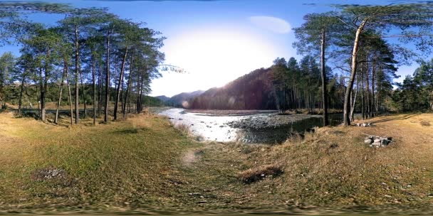 360 VR realidad virtual de montañas salvajes, bosques de pinos y ríos fluye. Parque Nacional, prados y rayos de sol. — Vídeos de Stock