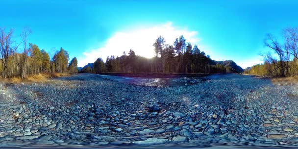 360 VR realidade virtual de uma montanha selvagem, pinhal e fluxos de rio. Parque nacional, prado e raios de sol. — Vídeo de Stock