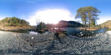 Vahşi dağların, çam ormanlarının ve nehir akışlarının 360 VR sanal gerçekliği. Ulusal park, çayır ve güneş ışınları.