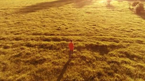 Uhd Vista Aérea Vuelo Baja Altitud Cerca Hombre Deportivo Corriendo — Vídeo de stock