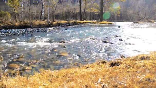 森の近くの山の川で水しぶきのドリースライダーショット。ぬれた岩や太陽の光線。水平安定運動. — ストック動画