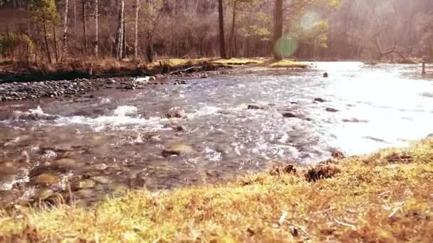 Dolly deslizador de tiro de las salpicaduras de agua en un río de montaña cerca del bosque. Rocas húmedas y rayos de sol. Movimiento horizontal constante. — Vídeo de stock
