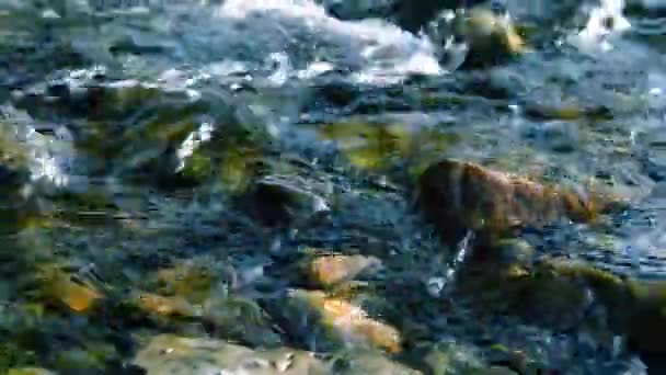 Dolly posuvník záběr stříkající vody v horské řece poblíž lesa. Mokré skály a sluneční paprsky. Vodorovný stálý pohyb. — Stock video