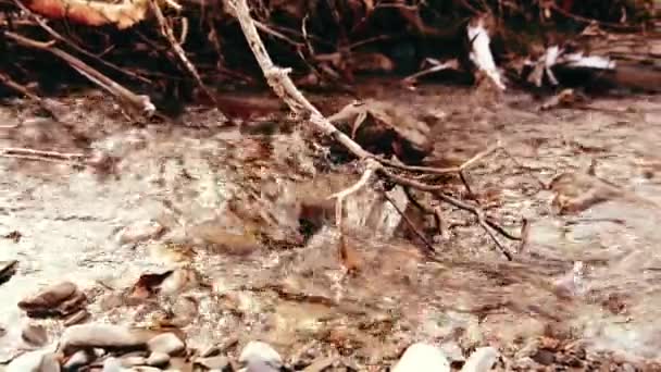 Dolly deslizante tiro da água espirrando em um rio de montanha perto da floresta. Rochas molhadas e raios solares. Movimento horizontal estável. — Vídeo de Stock