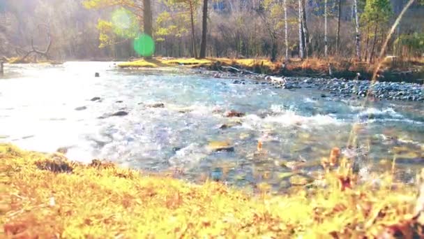 Dolly deslizante tiro da água espirrando em um rio de montanha perto da floresta. Rochas molhadas e raios solares. Movimento horizontal estável. — Vídeo de Stock