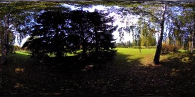 Bir şehir parkının UHD 4K 360 VR Sanal Gerçekliği. Sonbaharda ya da yaz gününde ağaçlar ve yeşil çimenler