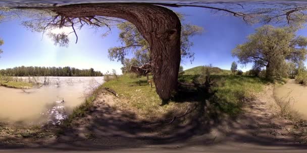 UHD 4K 360 VR La realidad virtual de un río fluye sobre rocas en un hermoso paisaje de bosque de montaña — Vídeo de stock