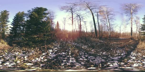 Realtà virtuale 4K 360 VR di una bellissima scena di montagna in autunno. Montagne russe selvagge nella neve — Video Stock