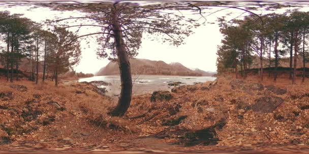 VR dari gunung yang indah sungai pada akhir musim gugur waktu. Taman nasional, padang rumput, tepi sungai pada hari mendung. — Stok Video