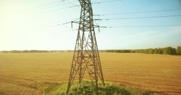 Voo de movimento vertical perto de torre de eletricidade de alta tensão e linhas de energia no campo verde e amarelo — Vídeo de Stock