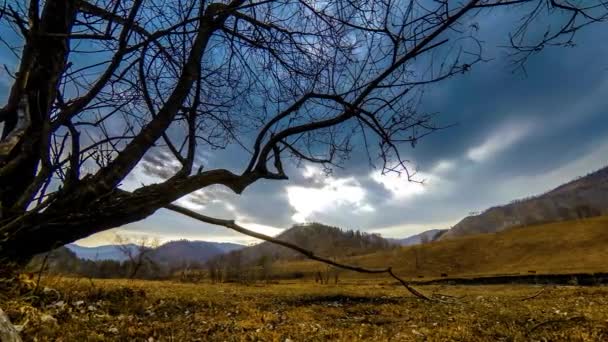 雲や太陽線と山岳風景での死の木や乾燥した黄色の草の時間経過。水平スライダーの動き — ストック動画