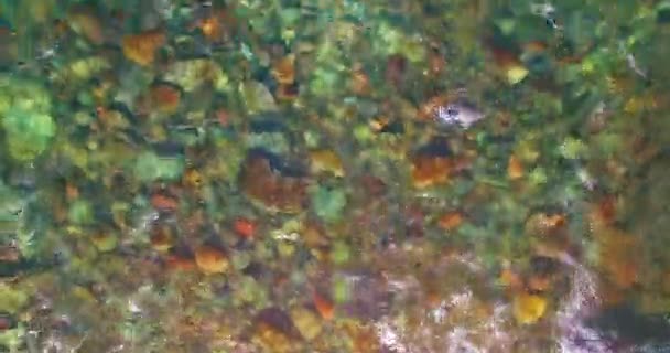 Vuelo en medio del aire sobre un río de montaña fresco y limpio en la soleada mañana de verano. Vista superior y movimiento horizontal — Vídeo de stock