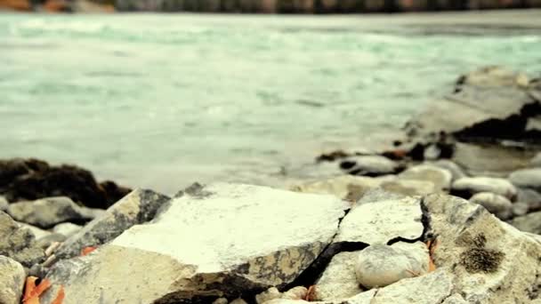 Dolly slider shot of the splashing water in a mountain river near forest. Rochers humides et rayons du soleil. Mouvement horizontal régulier. — Video