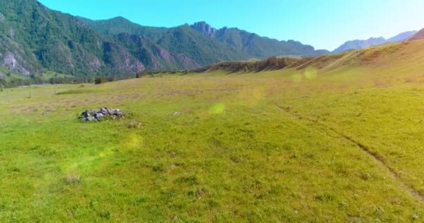 Vol au-dessus de chevaux sauvages troupeau sur prairie. Montagnes printanières nature sauvage. Liberté concept écologie. — Video