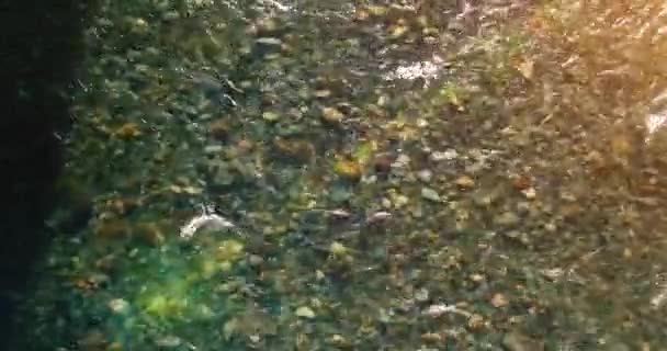 Vôo de ar médio sobre o rio de montanha fresco e limpo na manhã de verão ensolarada. Visão superior e movimento horizontal — Vídeo de Stock