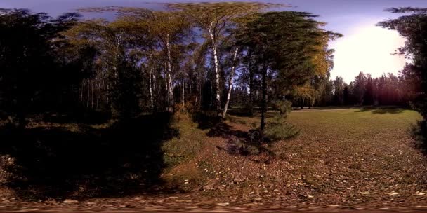 UHD 4K 360 VR Réalité virtuelle d'un parc municipal zone de loisirs. Arbres et herbe verte le jour d'automne ou d'été — Video