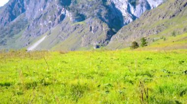Sırt çantası ile yeşil dağ çayır üzerinde yürüyen adam Fhd Hiking. Güneşli havada seyahat turizm. Yaz spor ve eğlence kavramı.