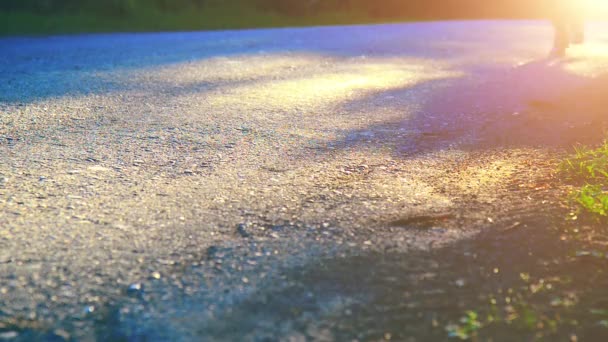 Sport man running at asphalt road. Rural city park. Green tree forest and sun rays on horizon. — Stock Video