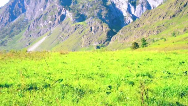 Sırt çantası ile yeşil dağ çayır üzerinde yürüyen adam hiking. Yaz spor ve eğlence kavramı. — Stok video