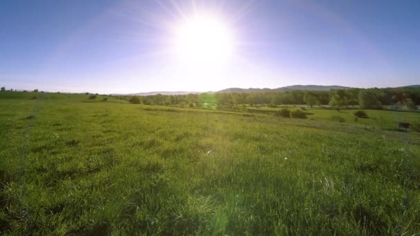 4K UHD山の牧草地は夏にタイムラプスします。雲、木、緑の草、太陽光線の動き. — ストック動画